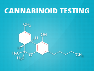 Cannabinoid Testing