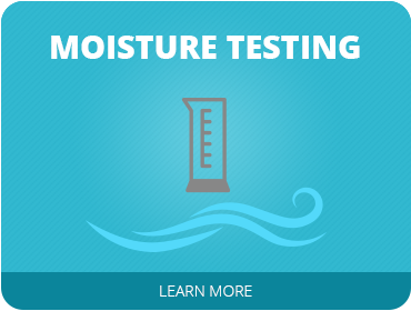 Moisture Testing