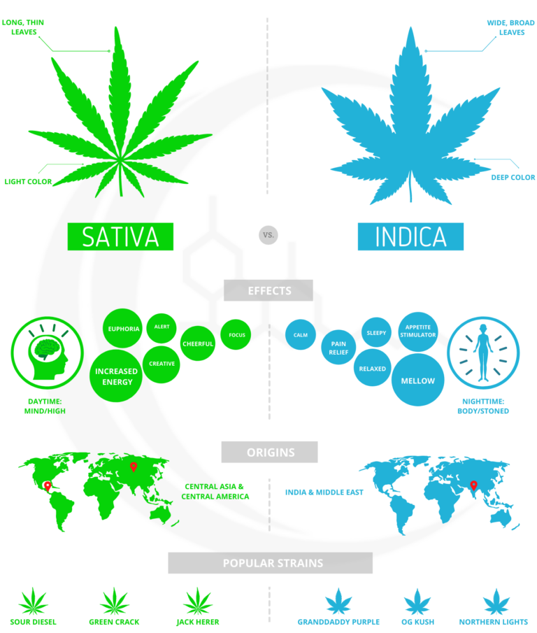 Sativa vs Indica Effects & Charts Modern Canna Science