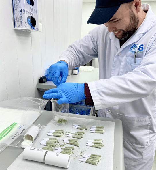 MCS Working Prepping Cannabis for testing