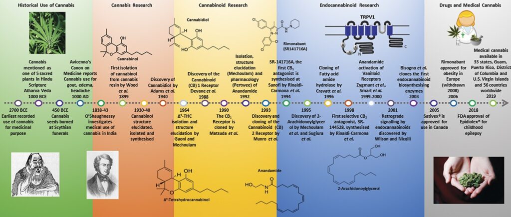 The endocannabinoid system: Essential and mysterious - Harvard Health