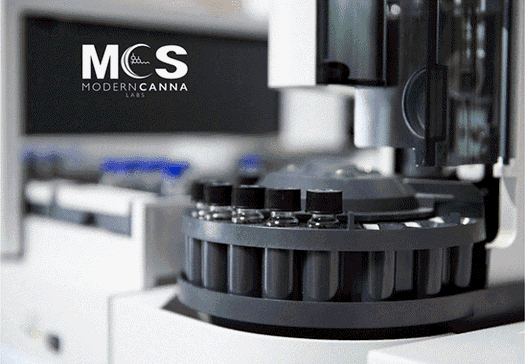 Looking for Cannabis Testing Services?